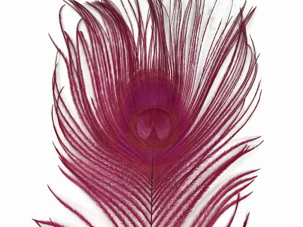100 Pieces – Burgundy Bleached & Dyed Peacock Tail Eye Wholesale Feathers (Bulk) 10-12” Long