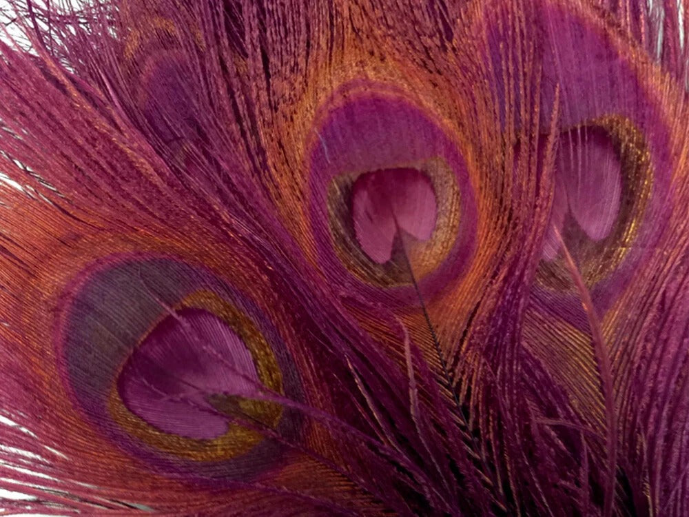 100 Pieces – Burgundy Bleached & Dyed Peacock Tail Eye Wholesale Feathers (Bulk) 10-12” Long