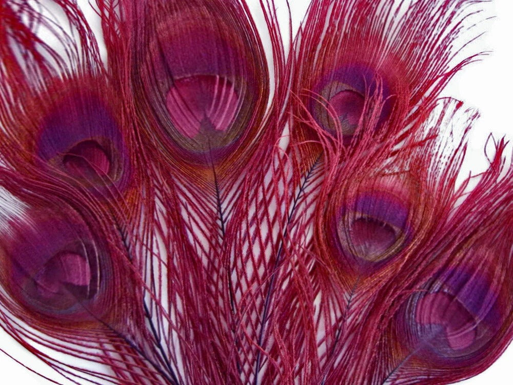 100 Pieces – Burgundy Bleached & Dyed Peacock Tail Eye Wholesale Feathers (Bulk) 10-12” Long
