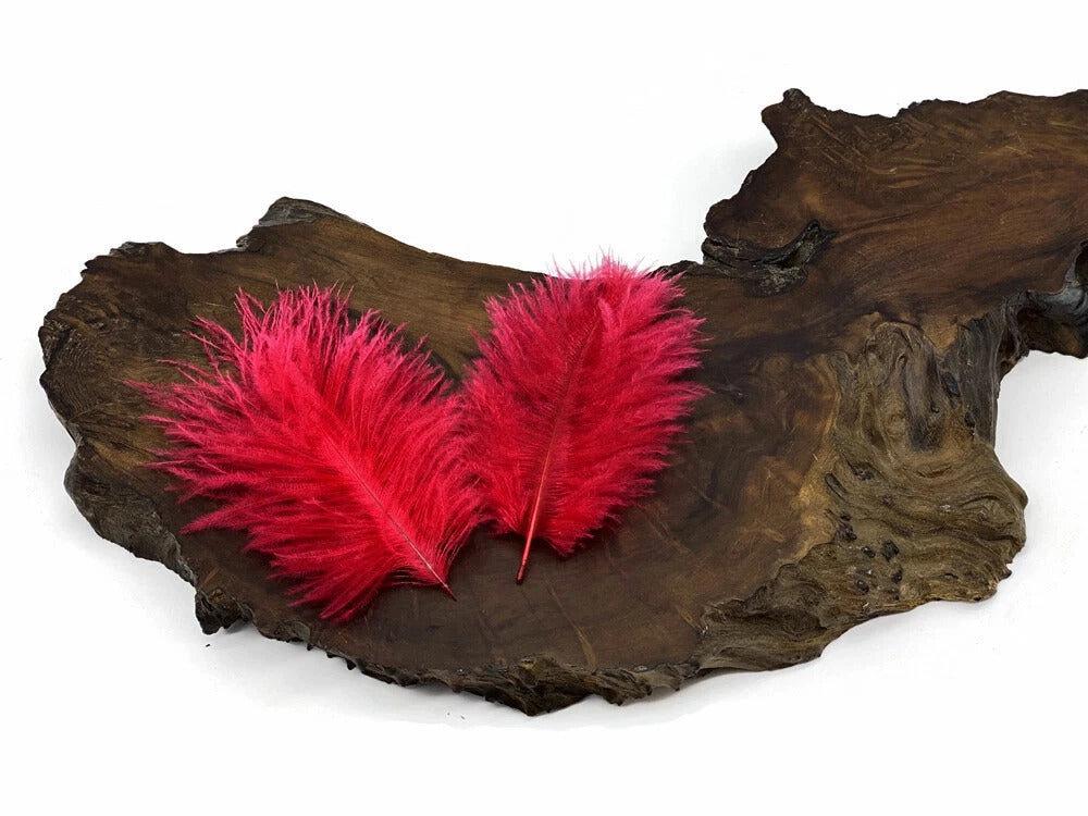 Wholesale Pack - Red Ostrich Small Confetti Feathers (Bulk)
