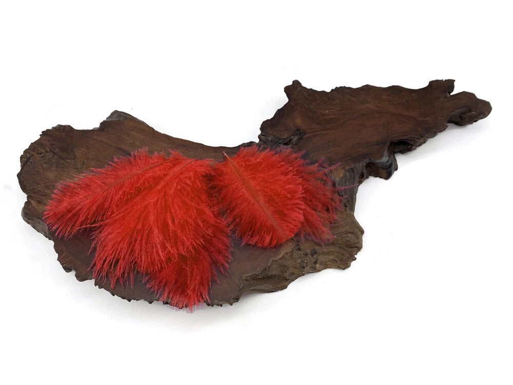 Wholesale Pack - Red Ostrich Small Confetti Feathers (Bulk)