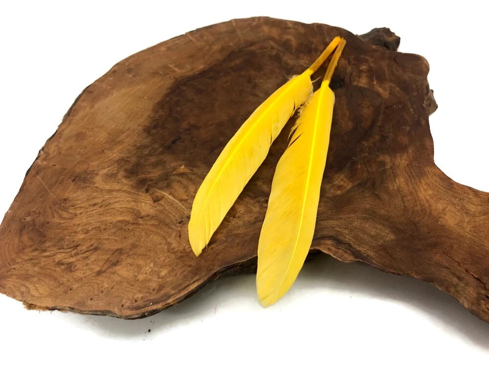 1 Pack - Golden Yellow Dyed Duck Cochettes Loose Wing Quill Feather 0.30 Oz.
