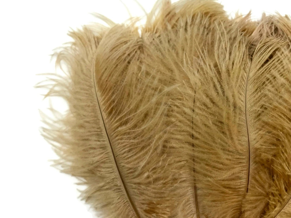 1/2 Lb. - 18-24" Old Gold Large Ostrich Wing Plume Wholesale Feathers (Bulk)