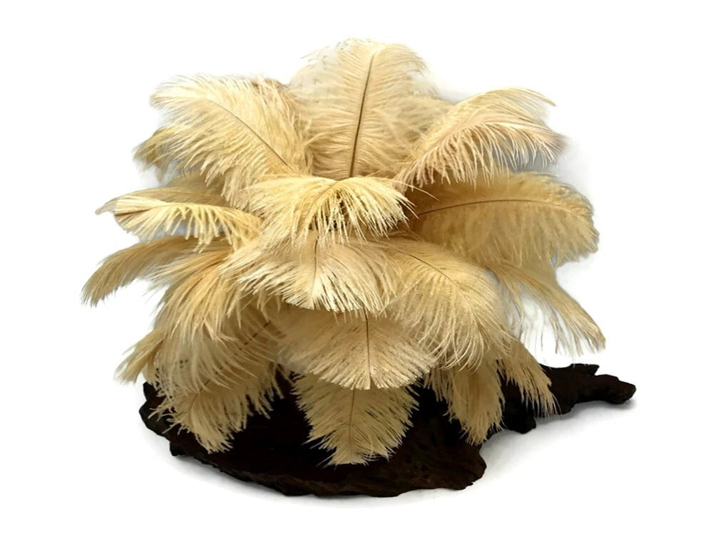 1/2 Lb. - 18-24" Old Gold Large Ostrich Wing Plume Wholesale Feathers (Bulk)