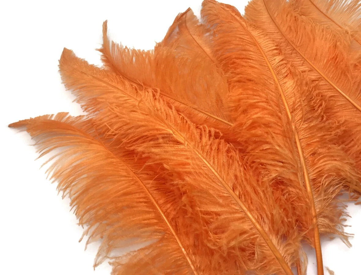 10 Pieces - 20-28" Orange Ostrich Spads Large Wing Feathers