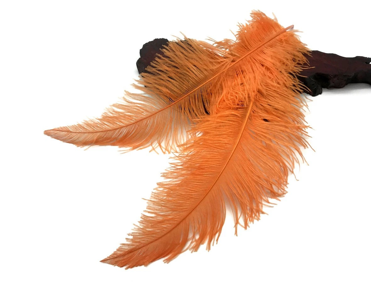 10 Pieces - 20-28" Orange Ostrich Spads Large Wing Feathers