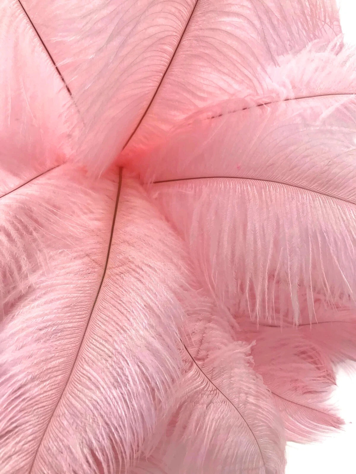 1/2 Lb - 12-16" Light Pink Ostrich Tail Wholesale Fancy Feathers (Bulk)