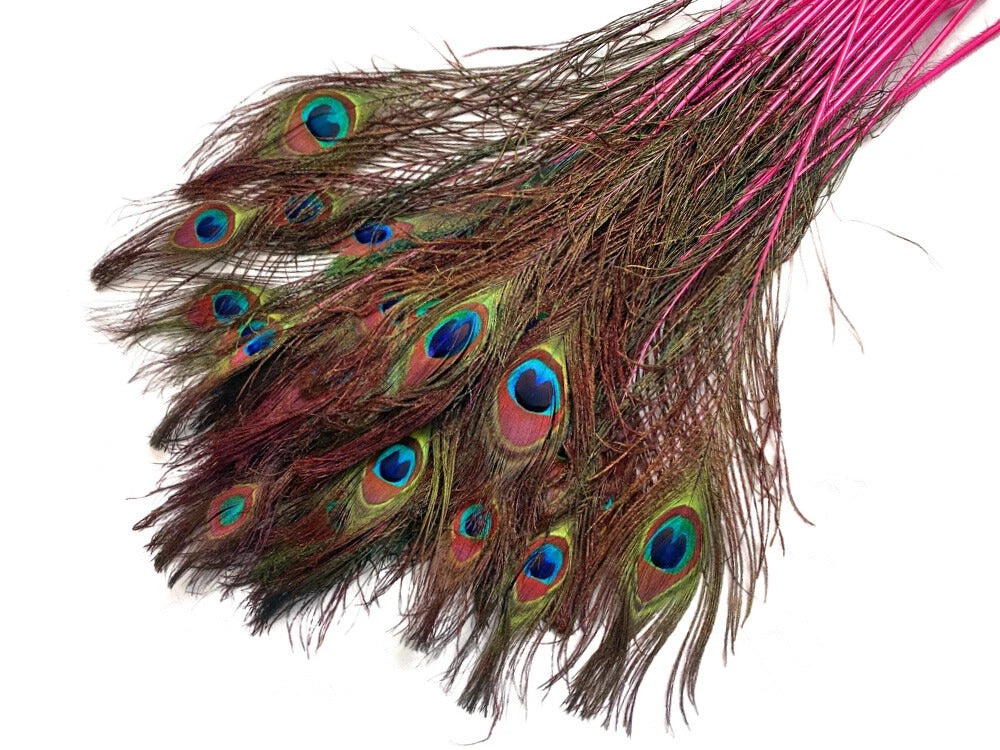 50 Pieces - 20-25" Candy Pink Dyed Over Natural Long Peacock Tail Eye Wholesale Feathers (Bulk)