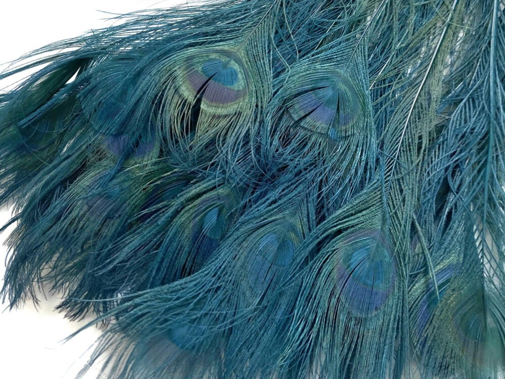 50 Pieces - 30-35" Teal Green Bleached & Dyed Peacock Tail Eye Wholesale Feathers (Bulk)