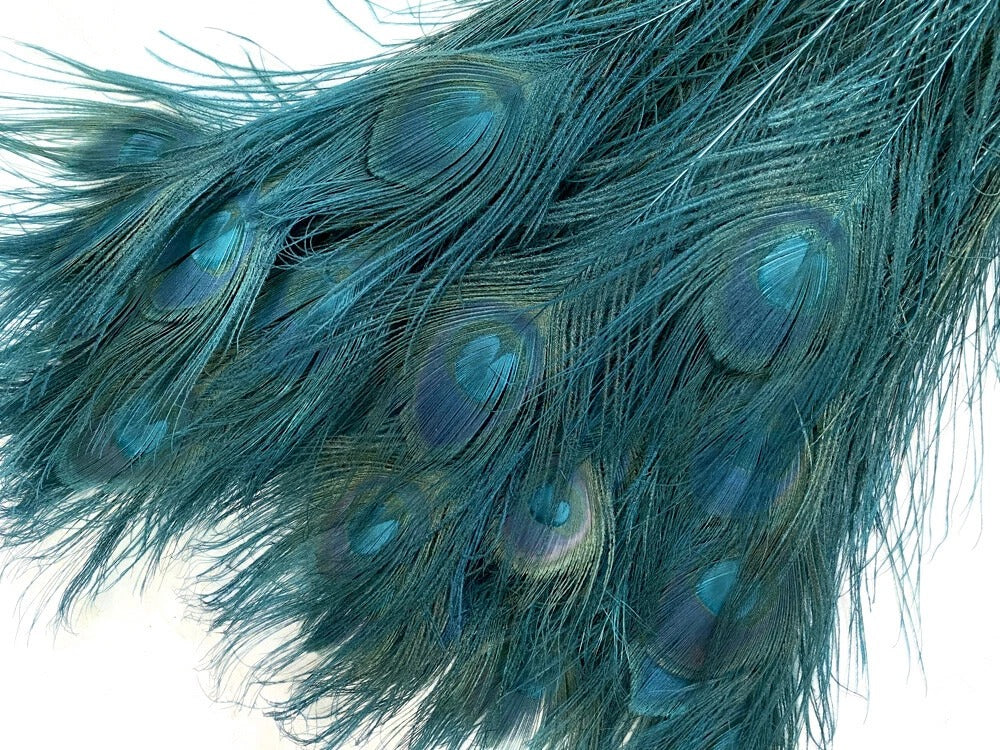 50 Pieces - 30-35" Teal Green Bleached & Dyed Peacock Tail Eye Wholesale Feathers (Bulk)