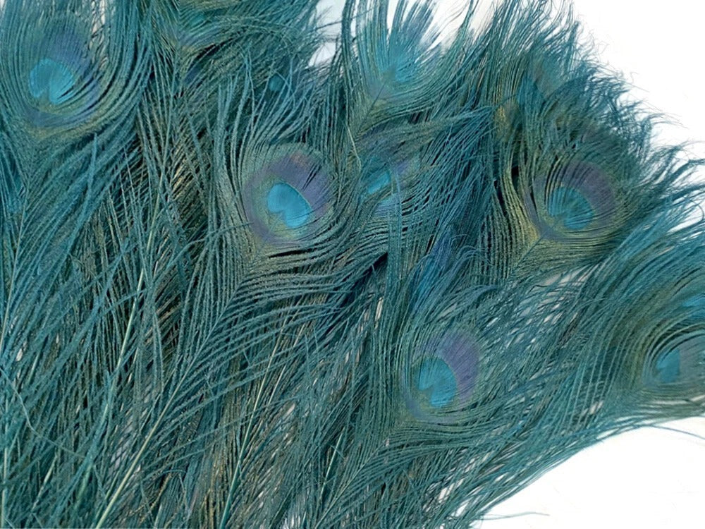 50 Pieces - 30-35" Teal Green Bleached & Dyed Peacock Tail Eye Wholesale Feathers (Bulk)