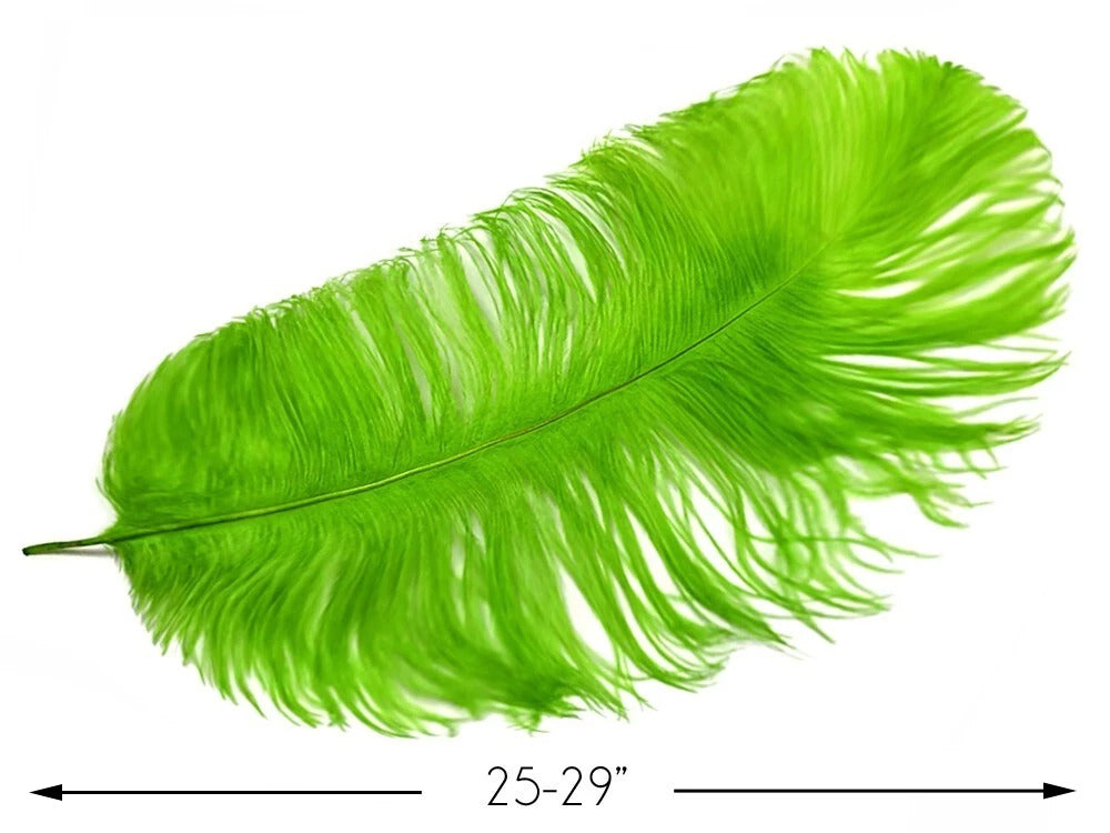 1/2 Lb. - 25-29" Lime Green Large Ostrich Wing Plume Wholesale Feathers (Bulk)