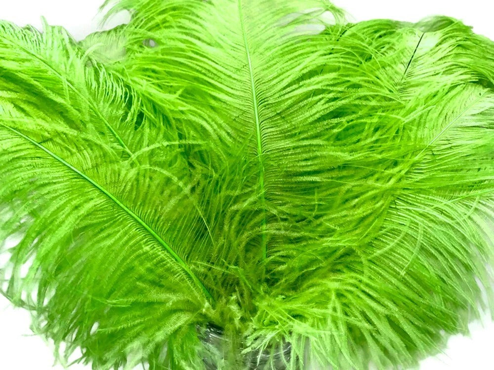 1/2 Lb. - 25-29" Lime Green Large Ostrich Wing Plume Wholesale Feathers (Bulk)