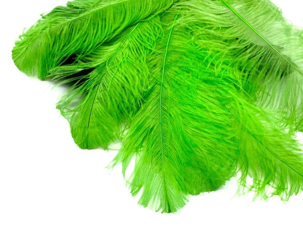 1/2 Lb. - 25-29" Lime Green Large Ostrich Wing Plume Wholesale Feathers (Bulk)