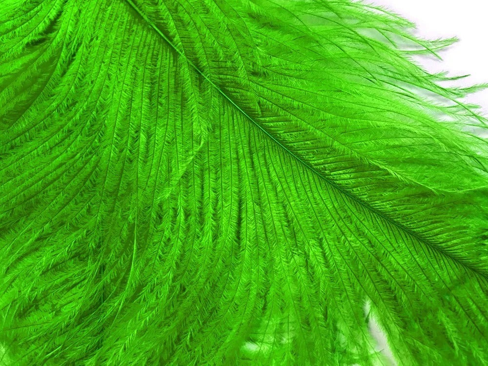1/2 Lb. - 25-29" Lime Green Large Ostrich Wing Plume Wholesale Feathers (Bulk)