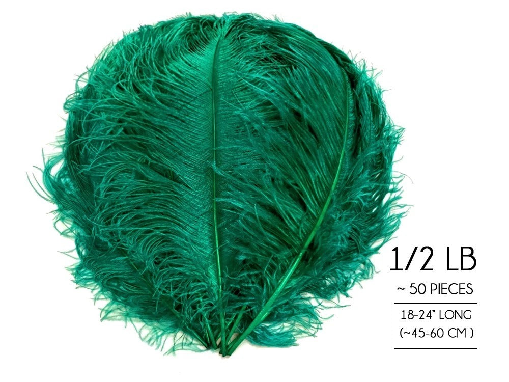 10 Pieces - 18-24" Teal Green Large Prime Grade Ostrich Wing Plume Centerpiece Feathers