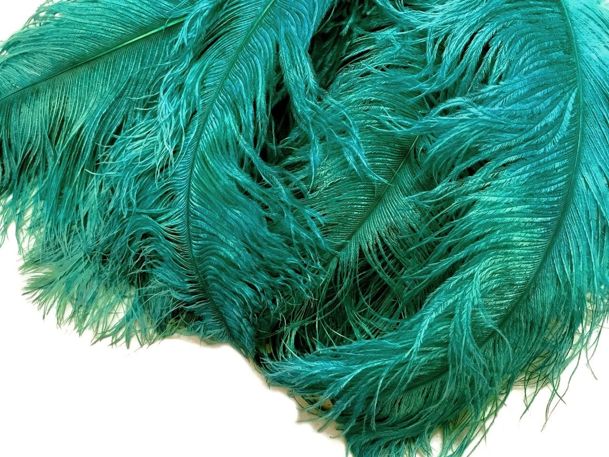1/2 Lb. - 18-24" Teal Green Large Ostrich Wing Plume Wholesale Feathers (Bulk)