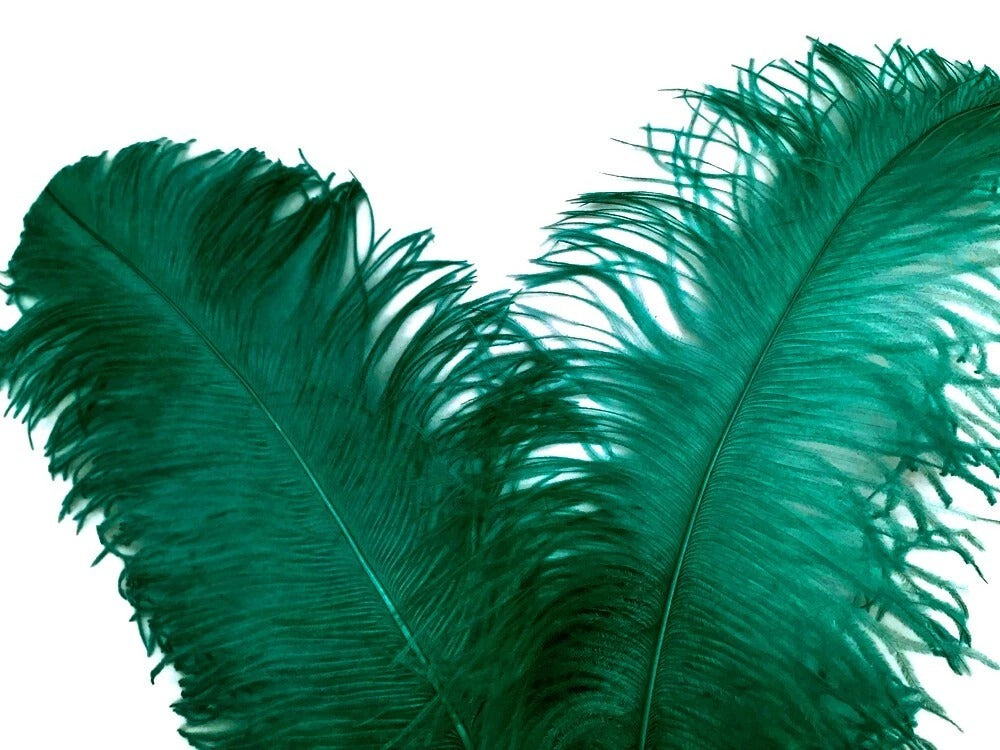 1/2 Lb. - 25-29" Teal Green Large Ostrich Wing Plume Wholesale Feathers (Bulk)