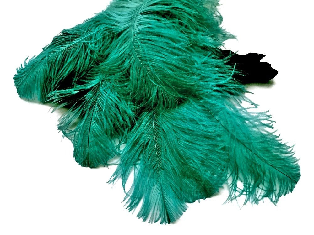 1/2 Lb. - 25-29" Teal Green Large Ostrich Wing Plume Wholesale Feathers (Bulk)