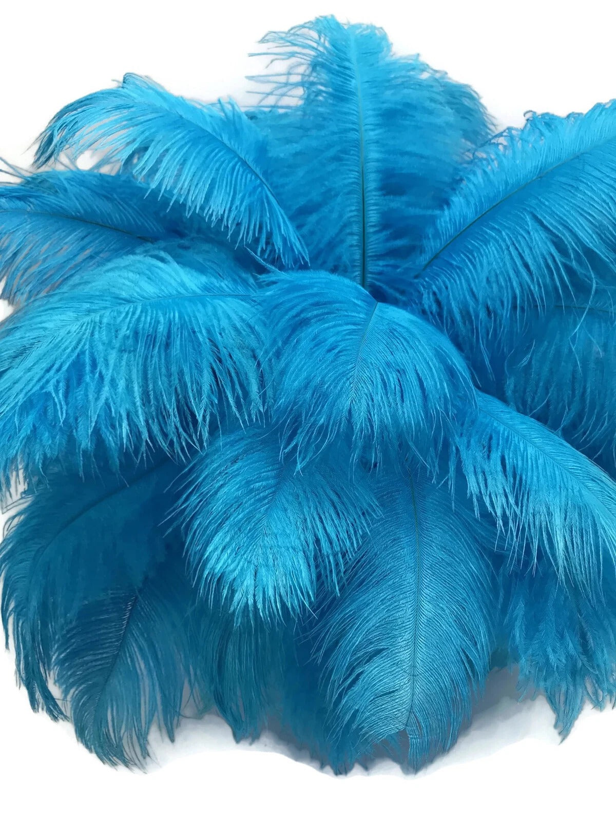 1/2 Lb. - 18-24" Turquoise Blue Large Ostrich Wing Plume Wholesale Feathers (Bulk)