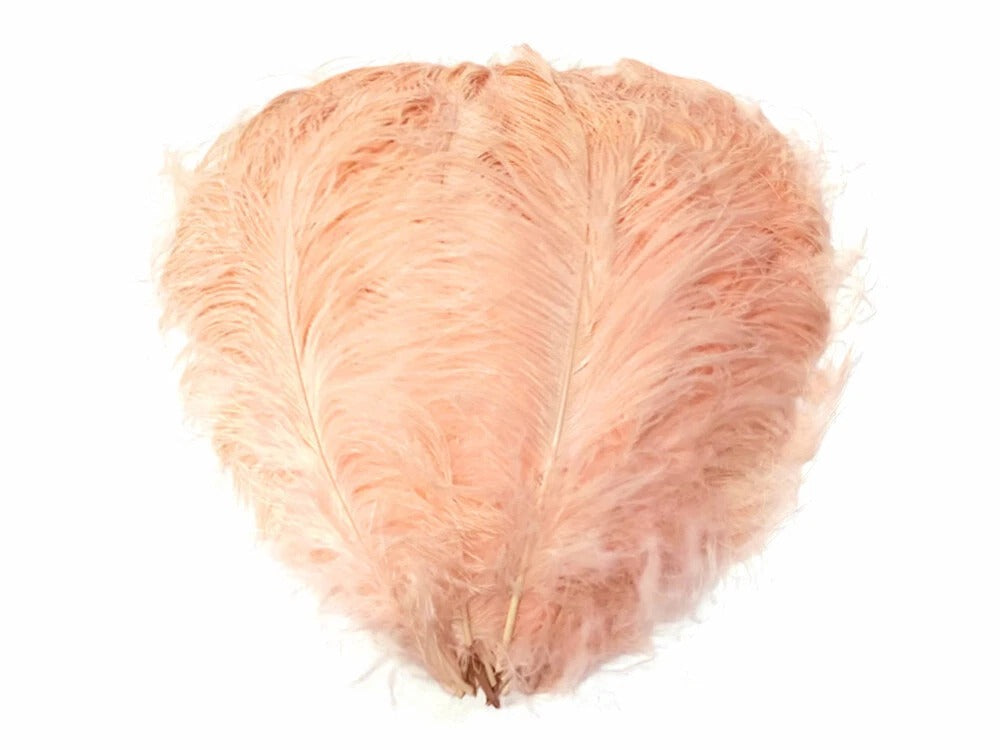 1/2 Lb. - 18-24" Champagne Large Ostrich Wing Plume Wholesale Feathers (Bulk)
