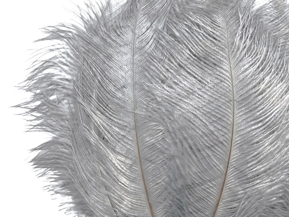 1/2 Lb - 12-16" Silver Gray Ostrich Tail Wholesale Fancy Feathers (Bulk)