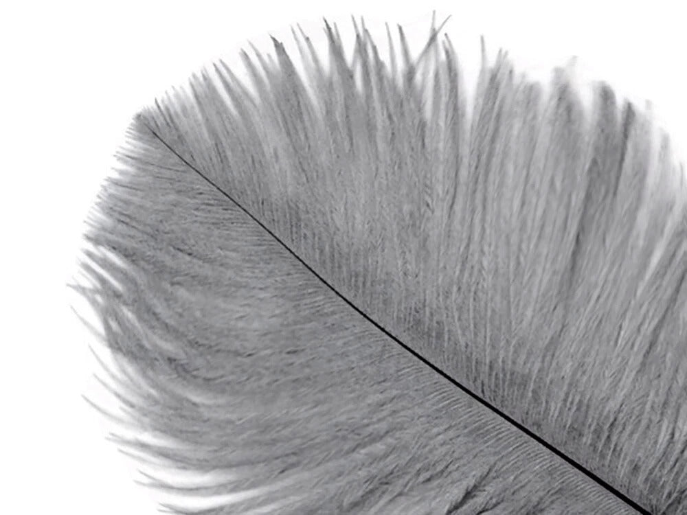 1/2 Lb - 12-16" Silver Gray Ostrich Tail Wholesale Fancy Feathers (Bulk)