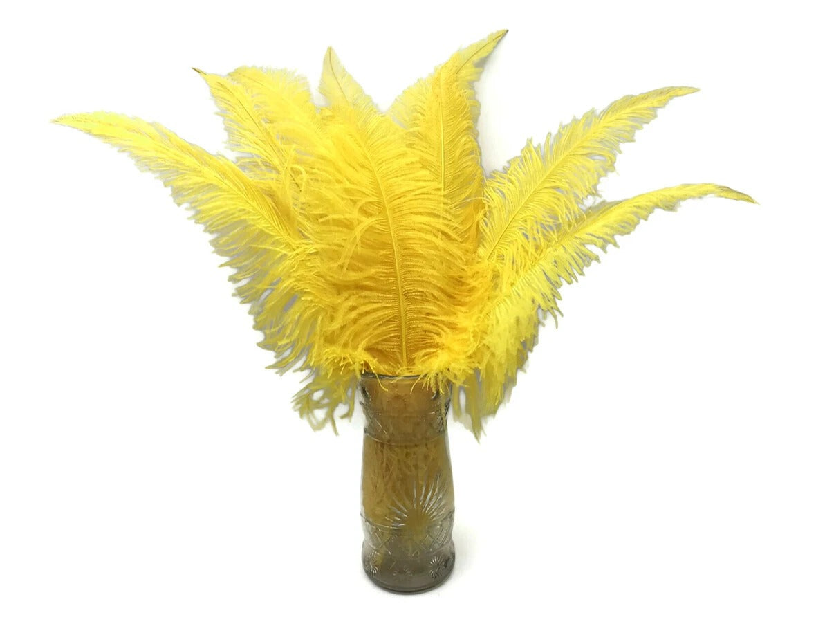 1/2 Lb - Yellow Large Ostrich Spads Wholesale Feathers 20-28" (Bulk)