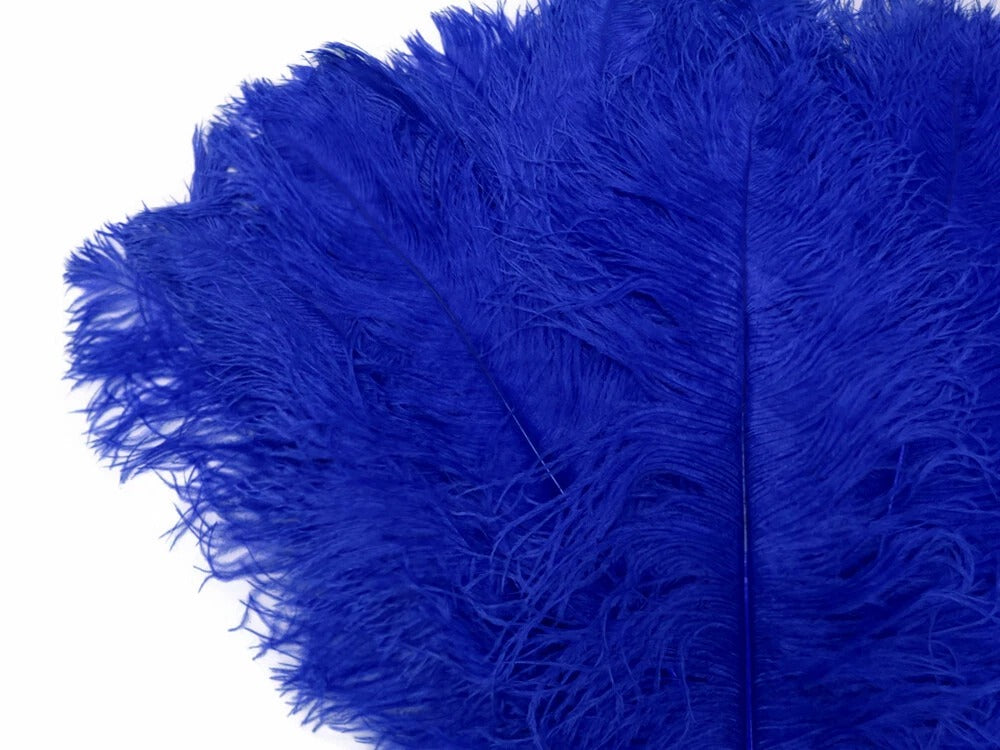 1/2 Lb. - 25-29" Royal Blue Large Ostrich Wing Plume Wholesale Feathers (Bulk)