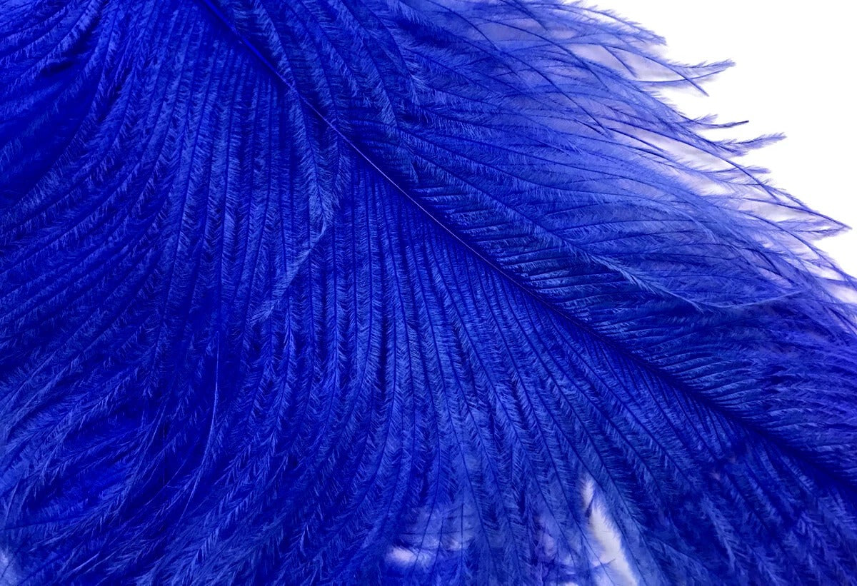 1/2 Lb. - 25-29" Royal Blue Large Ostrich Wing Plume Wholesale Feathers (Bulk)