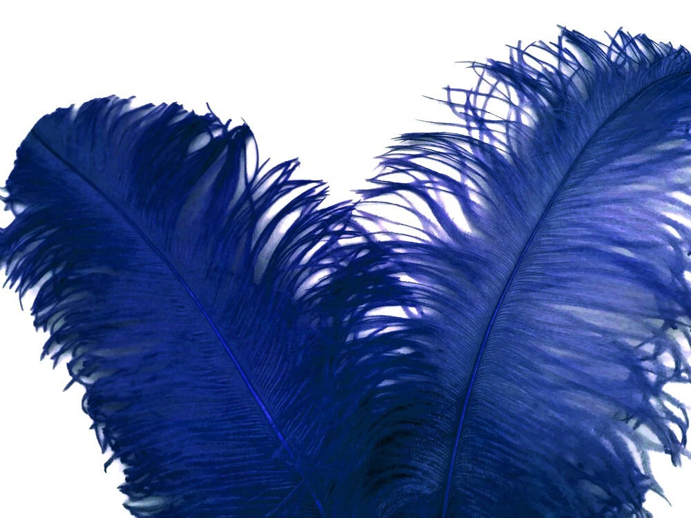 1/2 Lb. - 25-29" Royal Blue Large Ostrich Wing Plume Wholesale Feathers (Bulk)