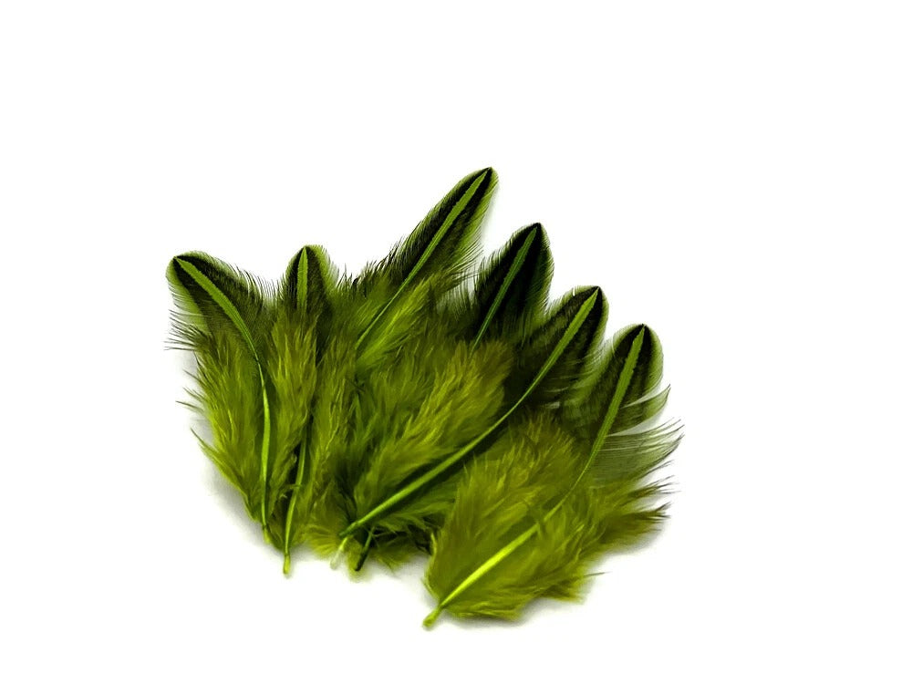 10 Pieces - Chartreuse Green Jungle Cock Loose Plumage Feather