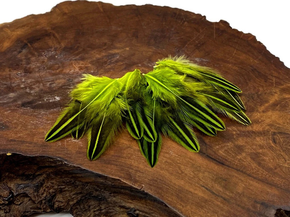 10 Pieces - Chartreuse Green Jungle Cock Loose Plumage Feather