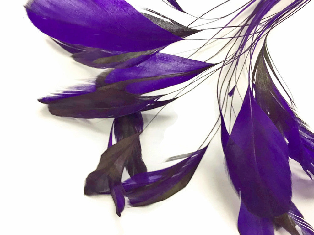 1 Dozen - Eggplant Stripped Rooster Coque Tail Feathers