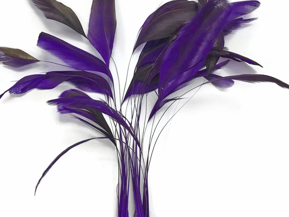 1 Dozen - Eggplant Stripped Rooster Coque Tail Feathers