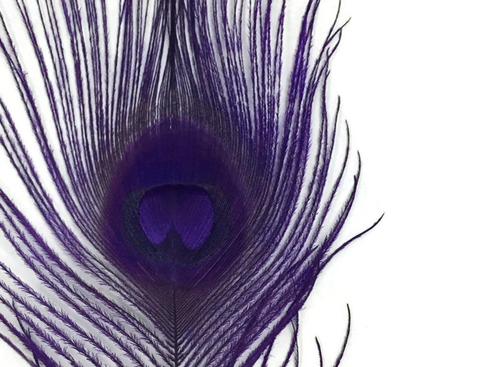 5 Pieces – Eggplant Bleached & Dyed Peacock Tail Eye Feathers 10-12” Long 