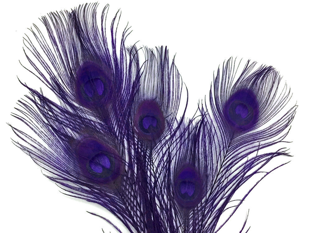 5 Pieces – Eggplant Bleached & Dyed Peacock Tail Eye Feathers 10-12” Long 