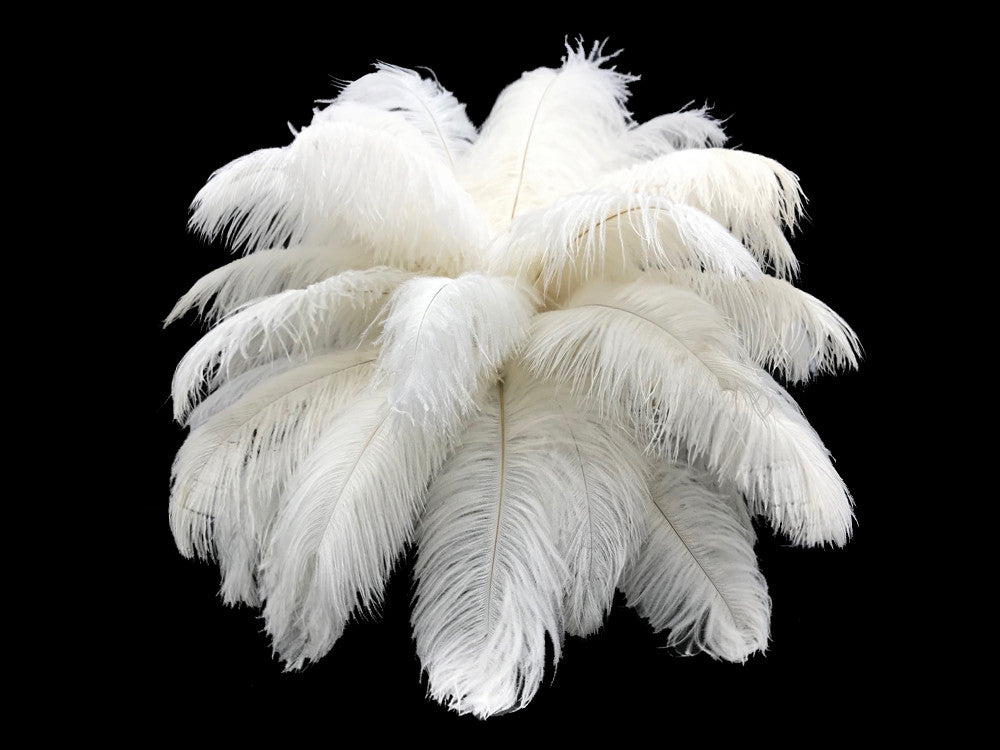 10 Pieces - 6-8" Off White Ostrich Dyed Drabs Body Feathers