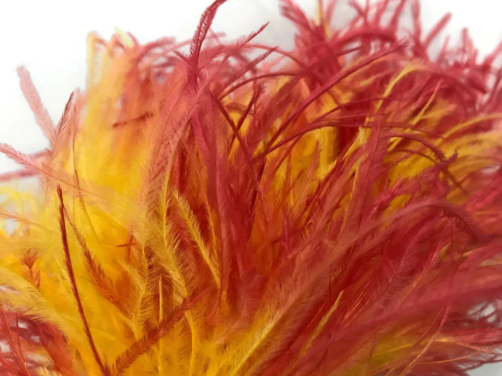 6 Inch Strip - Fiery Red Ombre Ostrich Fringe Trim Feather