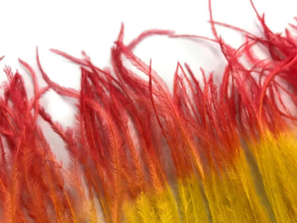 6 Inch Strip - Fiery Red Ombre Ostrich Fringe Trim Feather