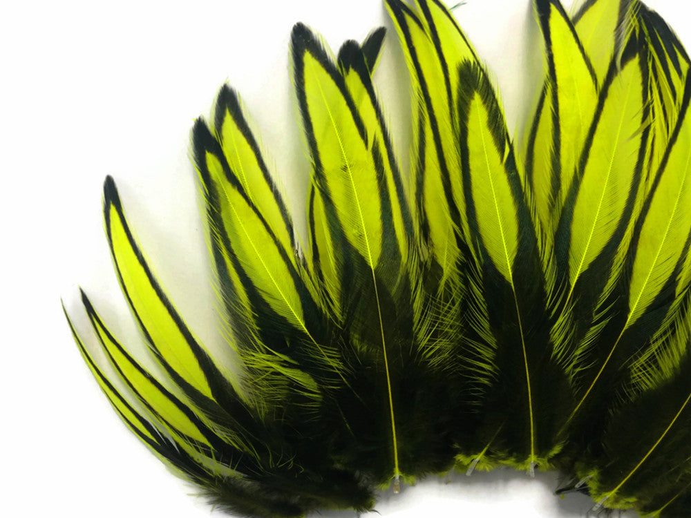 1 Dozen - Fluorescent Yellow Whiting Farms BLW Laced Hen Cape Loose Feathers