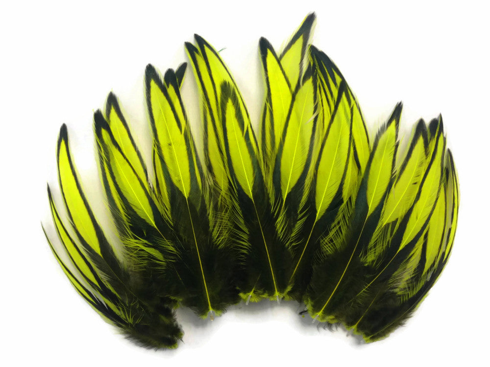 1 Dozen - Fluorescent Yellow Whiting Farms BLW Laced Hen Cape Loose Feathers