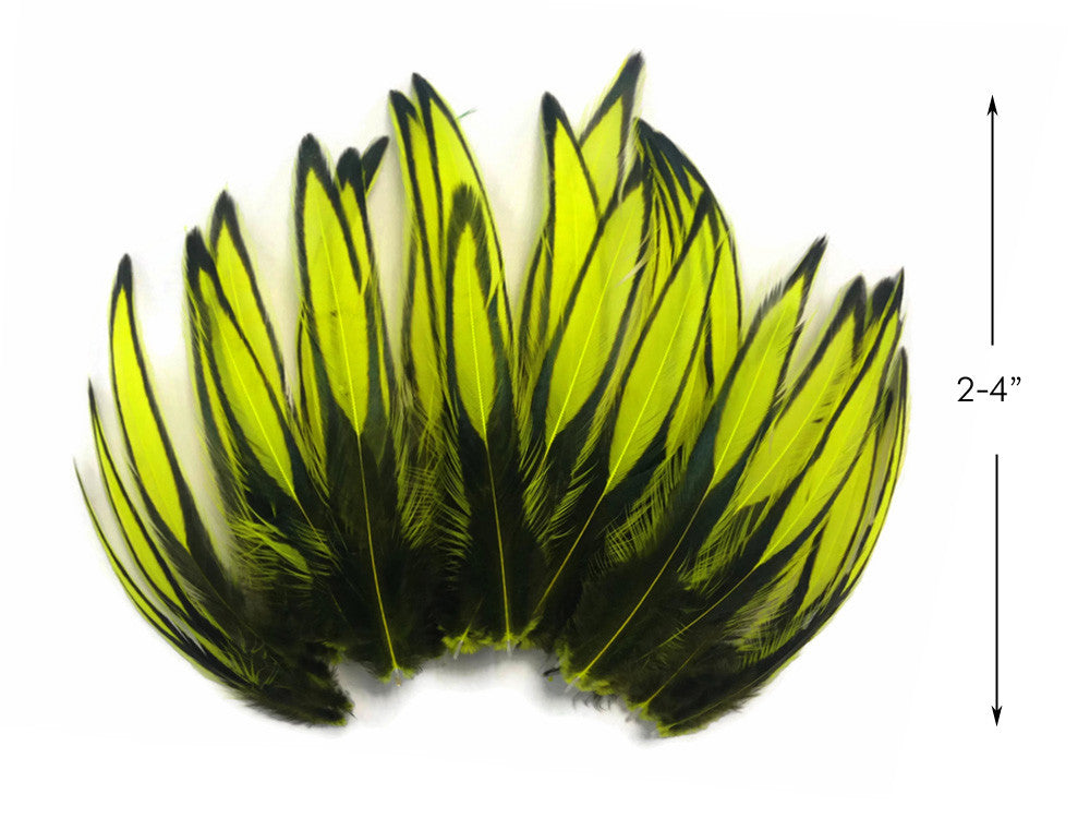 1 Dozen - Fluorescent Yellow Whiting Farms BLW Laced Hen Cape Loose Feathers