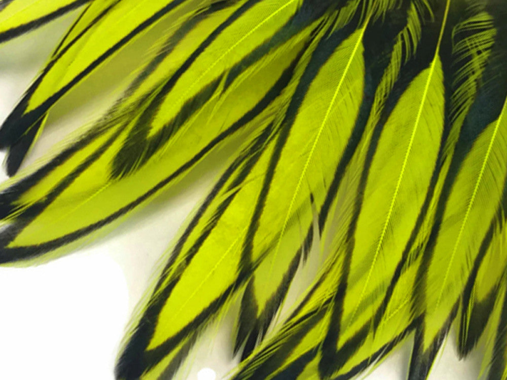 1 Dozen - Fluorescent Yellow Whiting Farms BLW Laced Hen Cape Loose Feathers