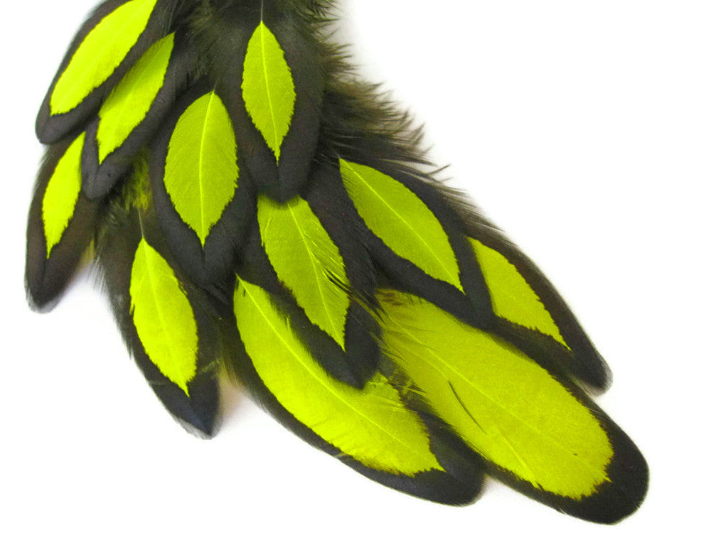 1 Dozen - Fluorescent Yellow Whiting Farms Laced Hen Saddle Feathers