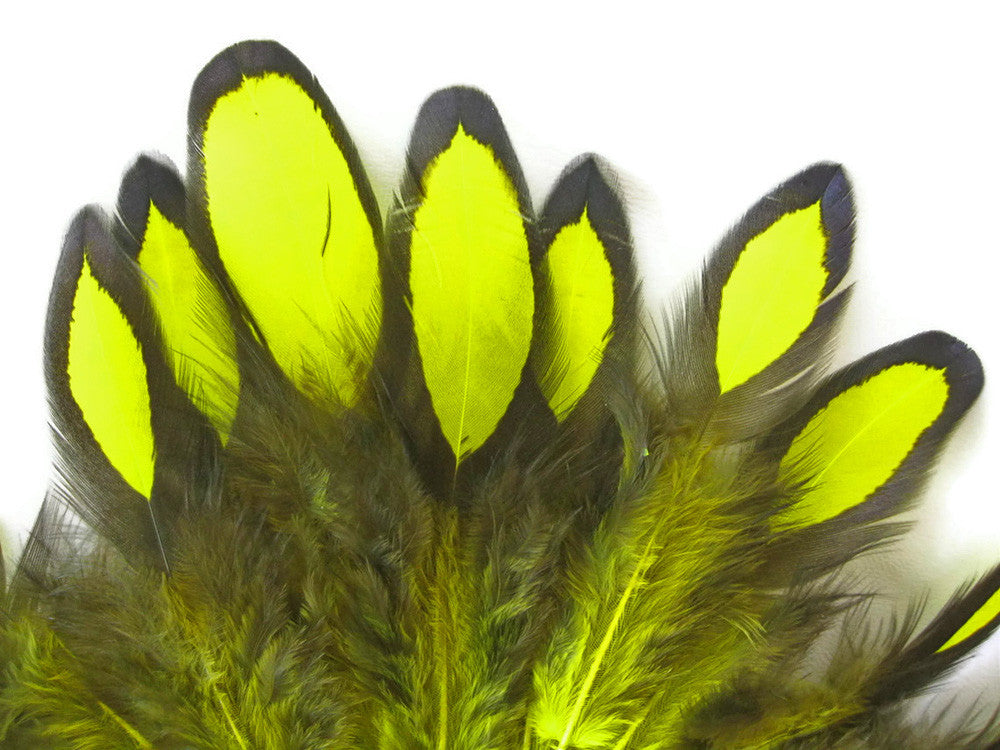 1 Dozen - Fluorescent Yellow Whiting Farms Laced Hen Saddle Feathers