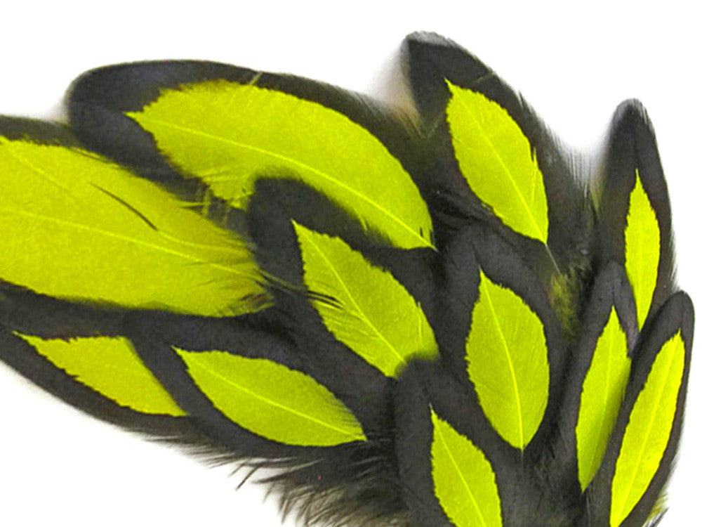 1 Dozen - Fluorescent Yellow Whiting Farms Laced Hen Saddle Feathers