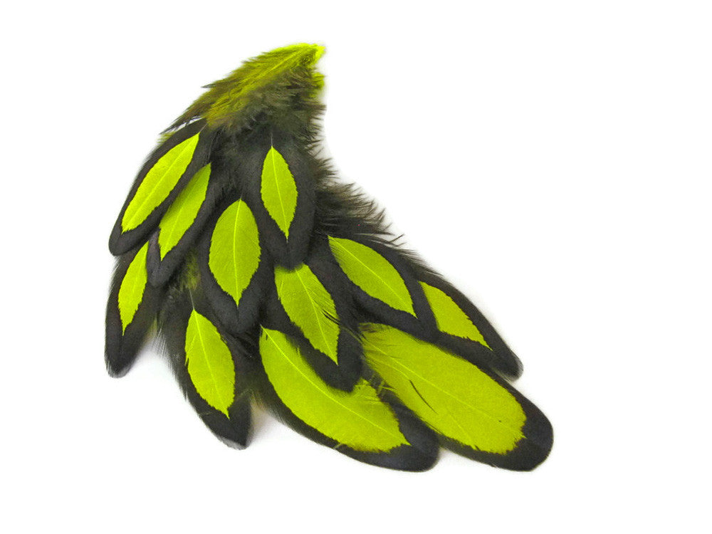 1 Dozen - Fluorescent Yellow Whiting Farms Laced Hen Saddle Feathers