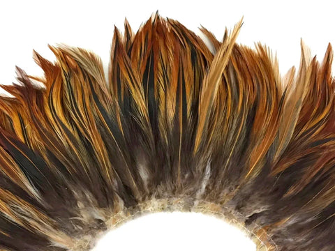 Curved strip of golden brown and black rooster neck hackle feathers.