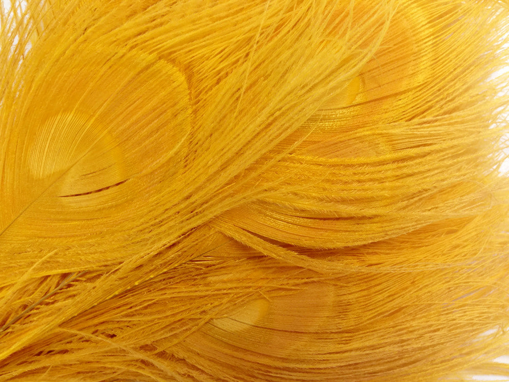 50 Pieces – Golden Yellow Bleached & Dyed Peacock Tail Eye Wholesale Feathers (Bulk) 10-12” Long 